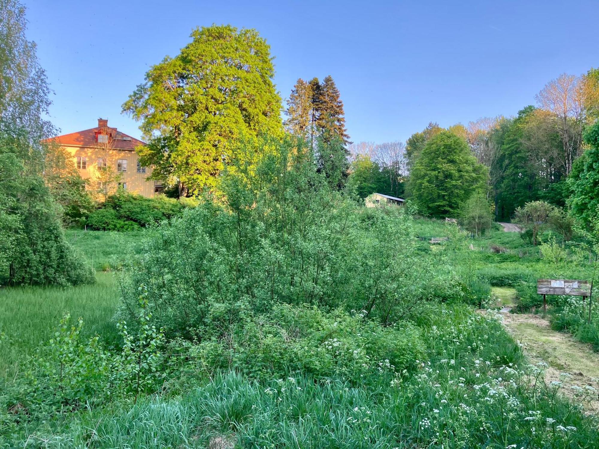 Lidhem Herrgard. Bed & Breakfast Och Mindre Laegenheter Vimmerby Eksteriør bilde