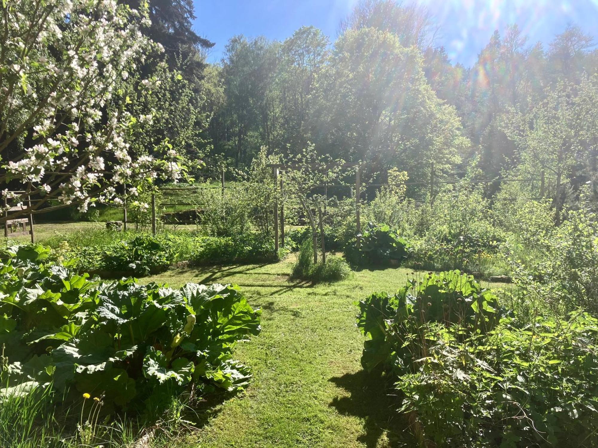 Lidhem Herrgard. Bed & Breakfast Och Mindre Laegenheter Vimmerby Eksteriør bilde